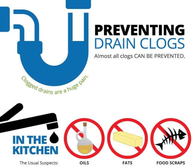 Prevent Clogged Drains Infographic Preview